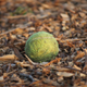 Tennis sphere